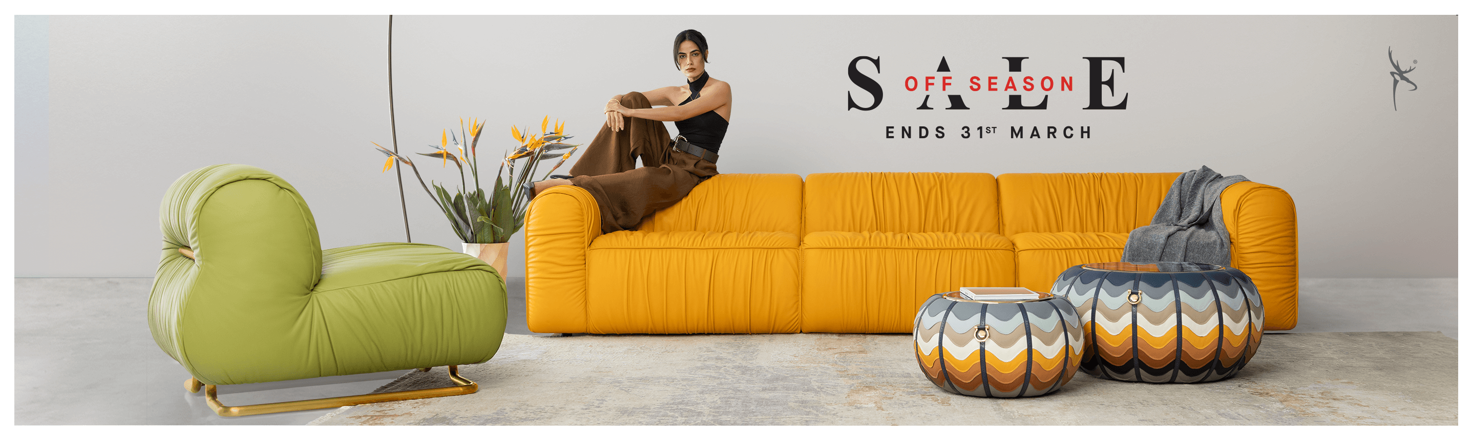 Home 1st Banner - Crazy Daisy