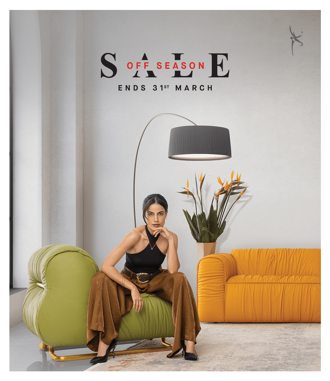 Home 1st Banner - Crazy Daisy