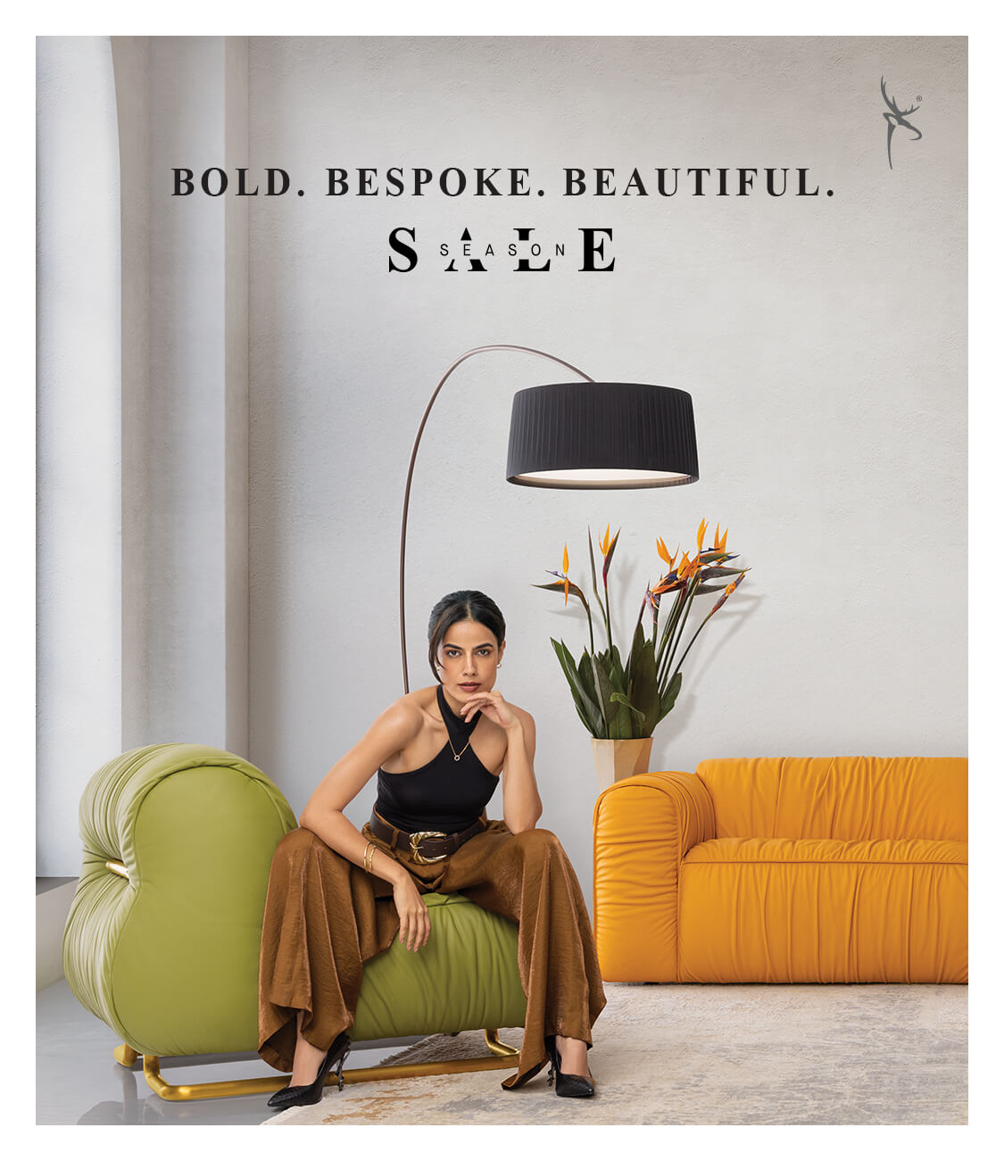 Home 1st d Banner -  Rollo