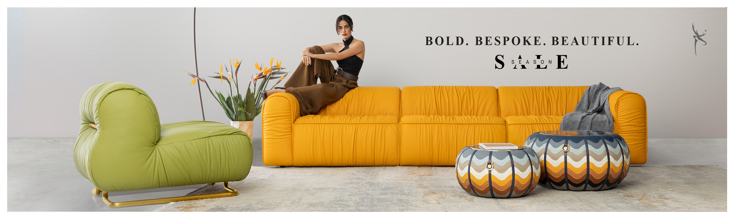 Home 1st d Banner -  Rollo