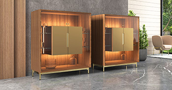 Vantage Small Showcase